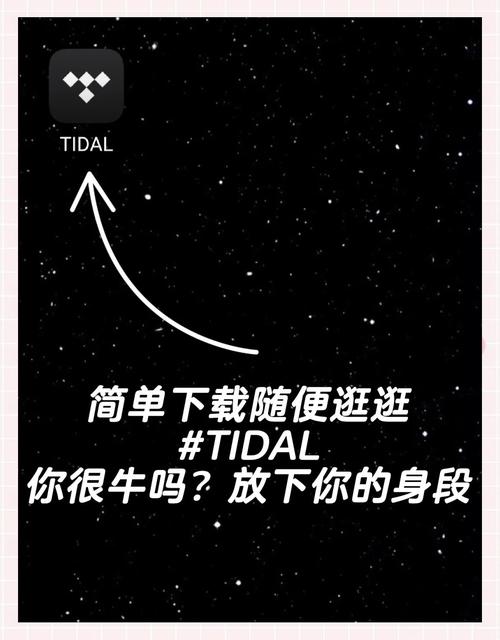 tidal音乐可以到数播吗截图