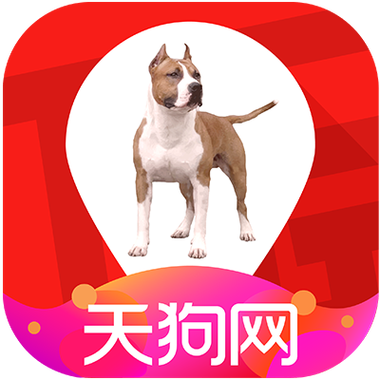天狗网