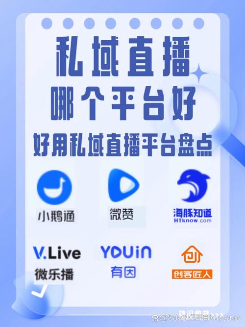 成品网站免费直播有哪些平台推荐破解无限配额图标