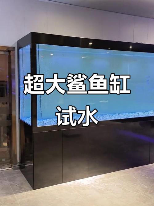 鲨鱼缸的配置要求