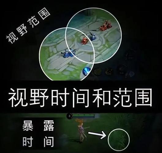 王者视野扩大工具免费版
