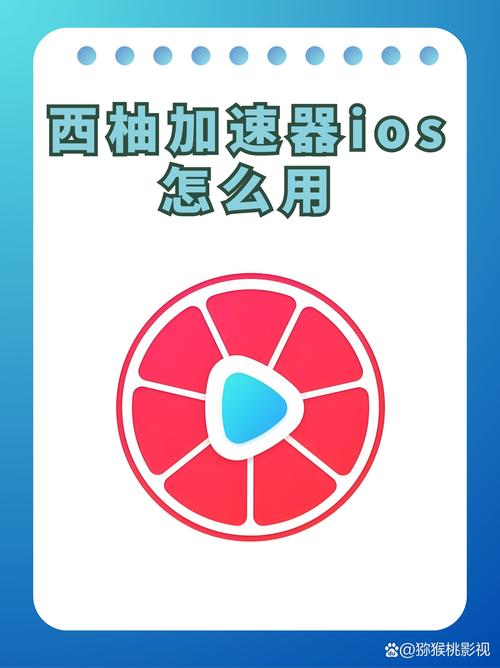 西柚加速器西柚极速版2023