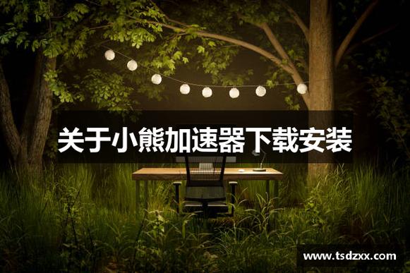 小熊加速器npv免费版截图