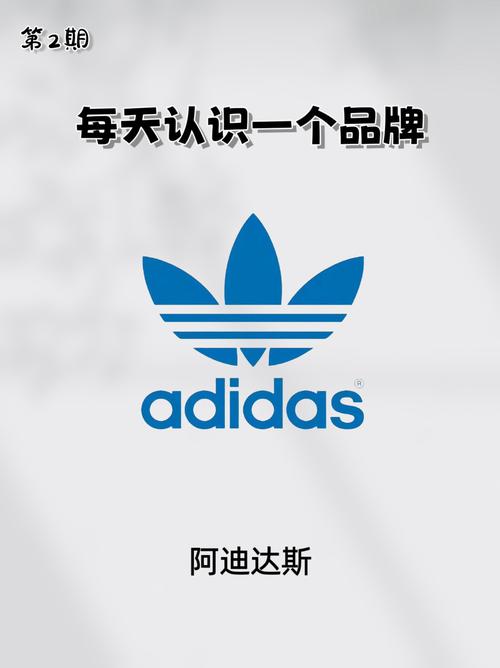 三叶草加速器破解版