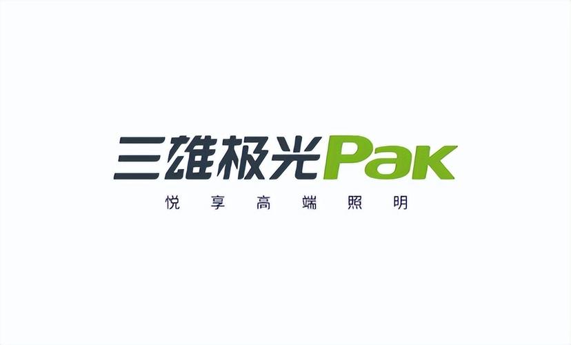 极光代理ip官网