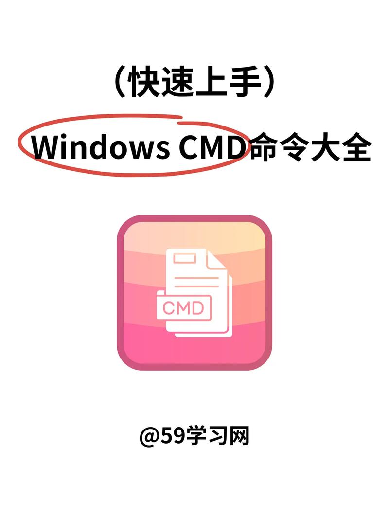 cmd终端手机版绿色版汉化版截图