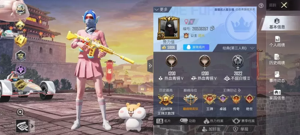 和平精英用的流量多吗