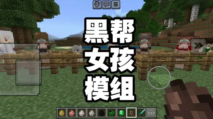 我的世界黑帮女孩模组互动原视频