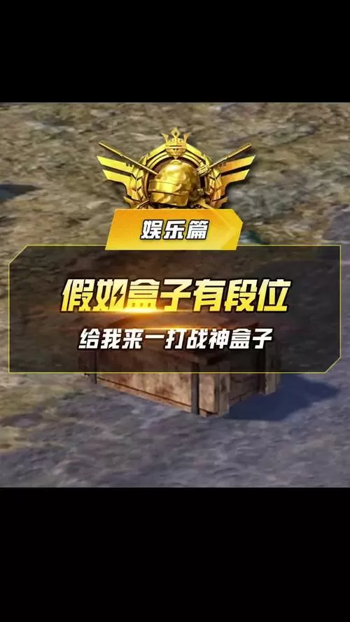 和平精英小盒子