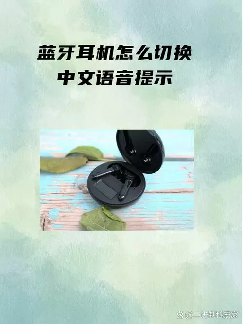 蓝牙耳机设置中文模式截图
