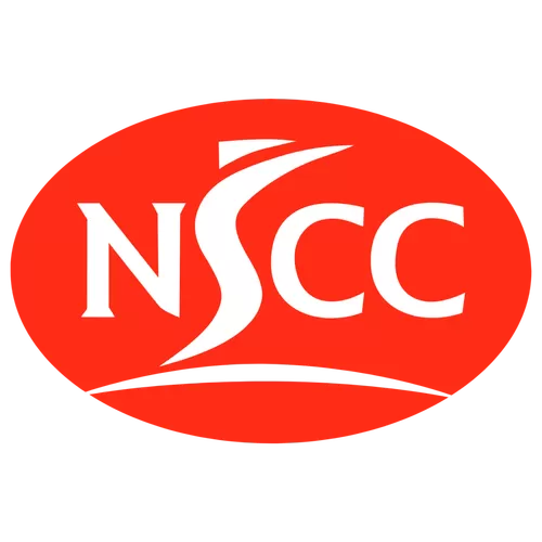 手机上的nsc是什么意思截图
