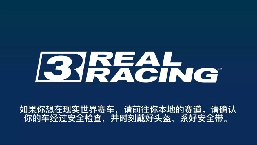 真实拉力赛车3破解版缩略图