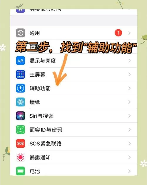 苹果怎么隐藏电池使用情况