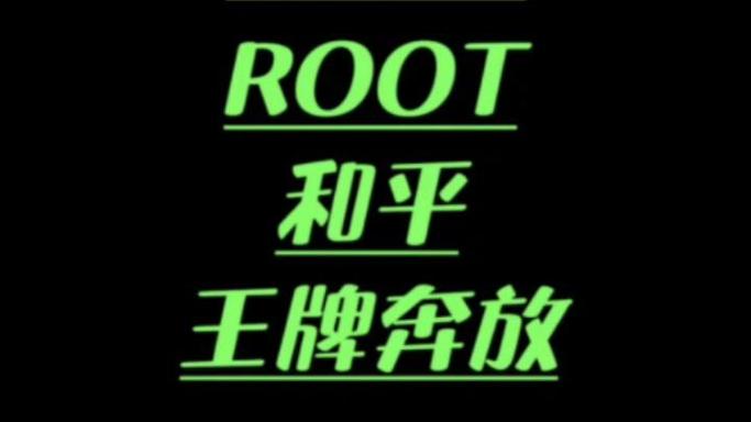 和平精英root