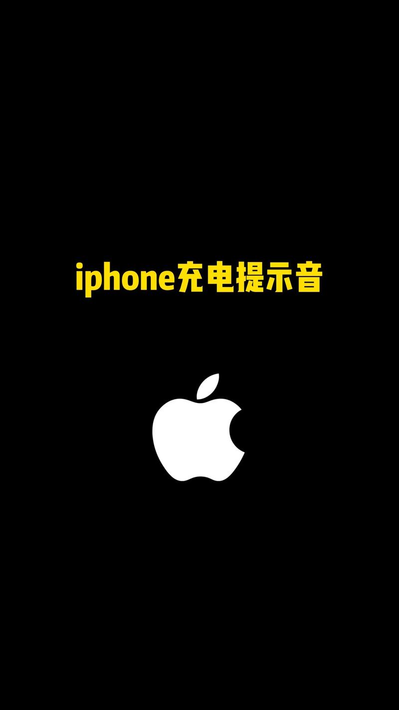 苹果6关机才能充进去电