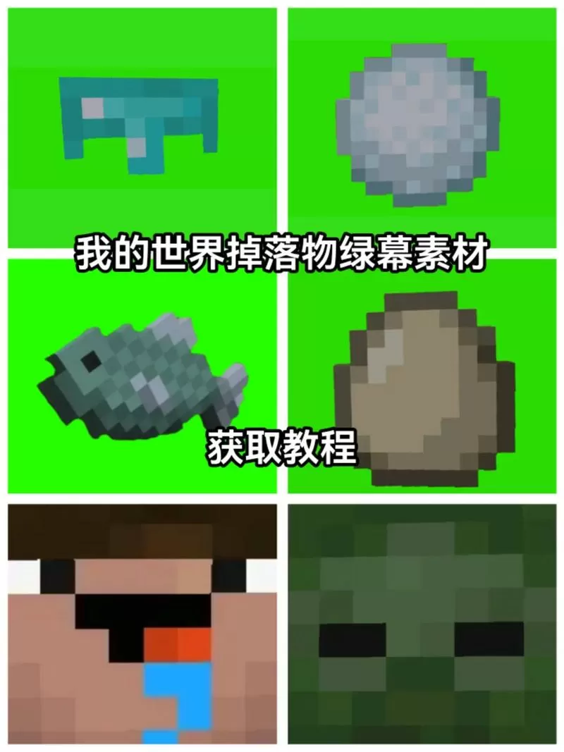我的世界僵尸掉落物品截图