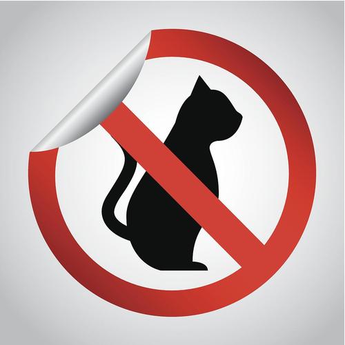 流量猫是什么