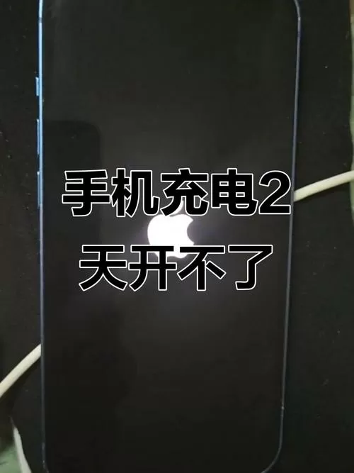 手机充电闪一下就灭了怎么回事截图