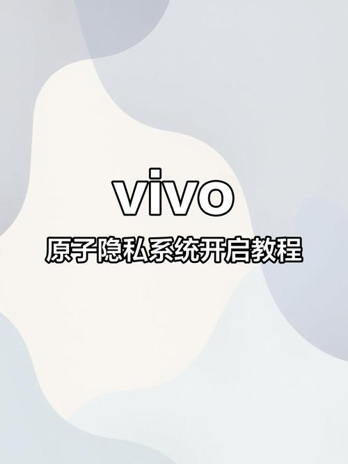 vivo怎么进入原子隐私