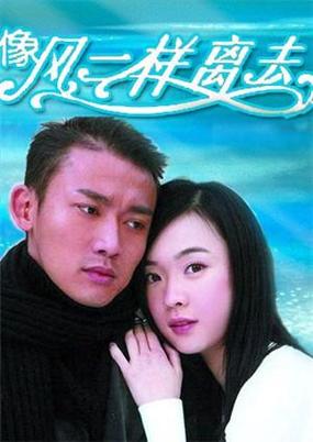 像风一样离去 电视剧经典版无广告