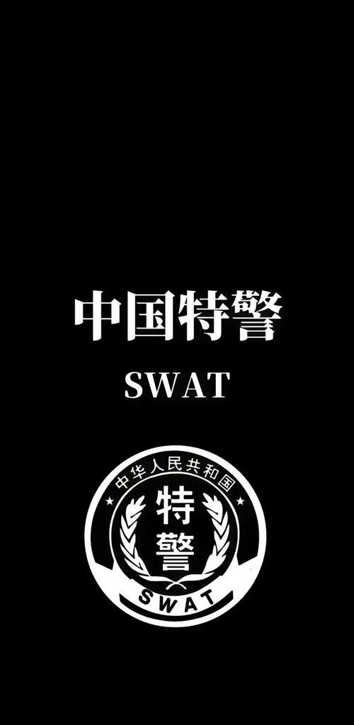 中国特警模拟器2