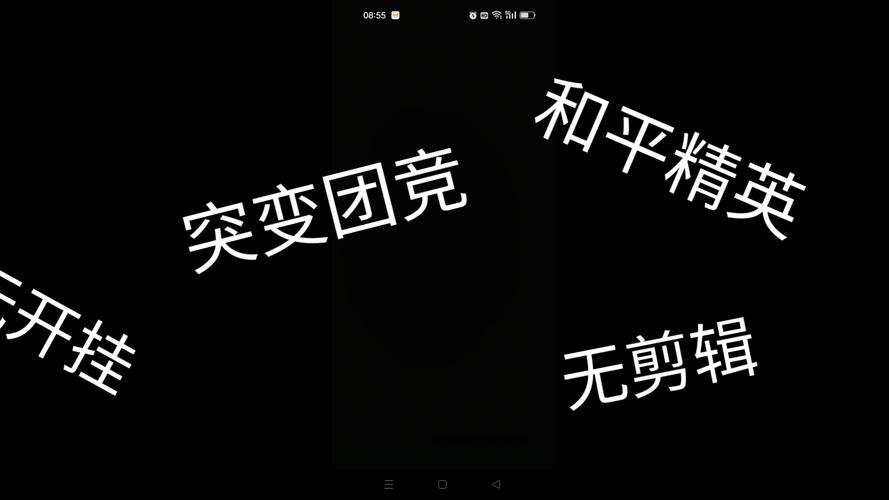 和平精英平板视角修改器黑色版免墙版截图