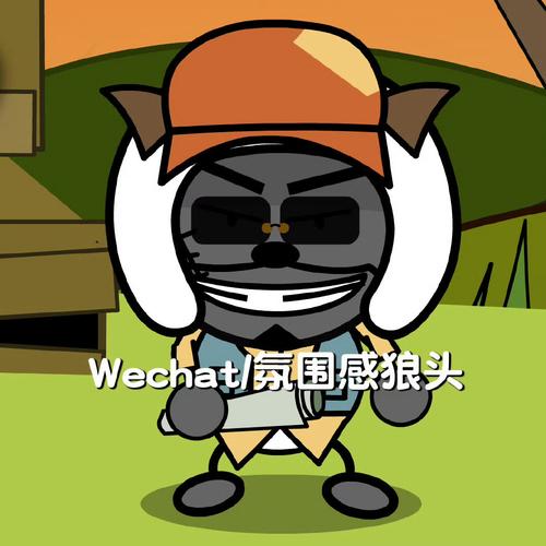 六庚鸡王助手超广角官方版