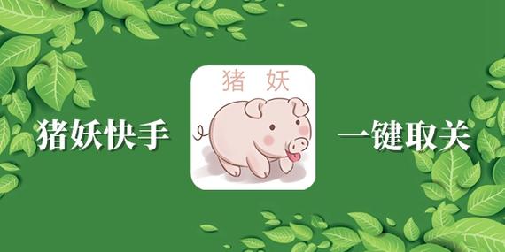 猪妖快手一键清粉安卓版游戏截图
