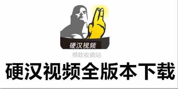 怎样硬汉视频app