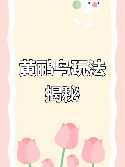 黄鹂鸟游戏辅助器