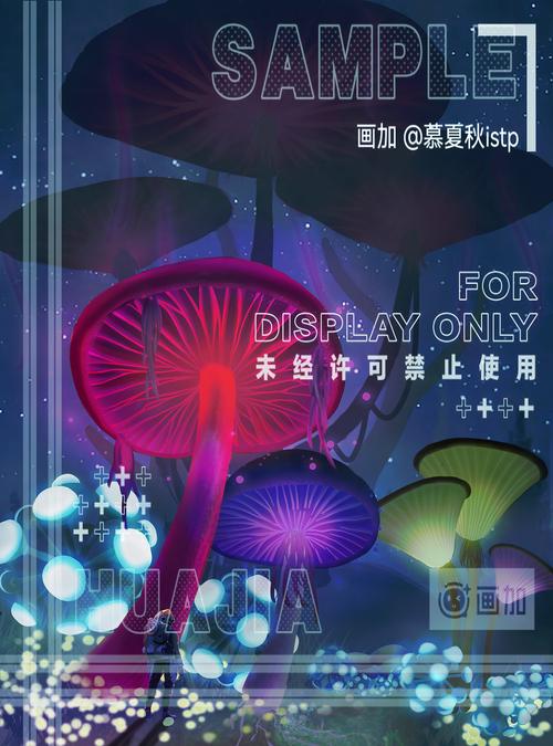 蘑菇星球官网版安装