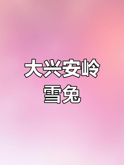 雪兔视频破解版