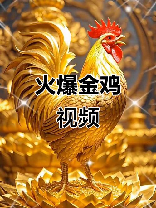 金鸡视频官网