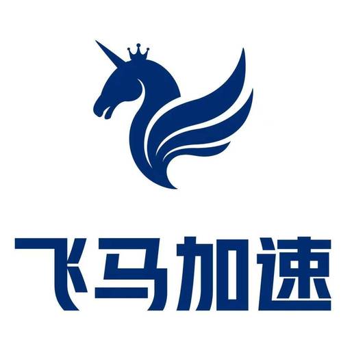 飞马NPV加速器去限制版