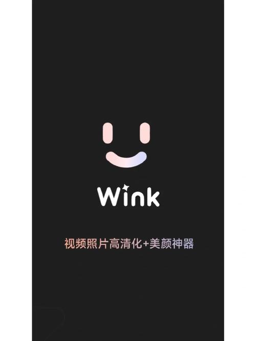 wink破解版最新版提米版图标