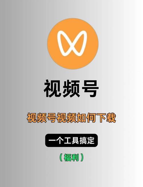 视频助手