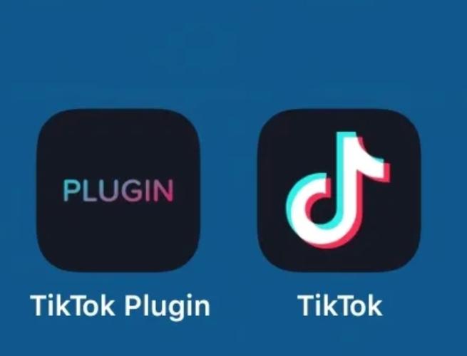 tiktok国际版内置菜单无限制