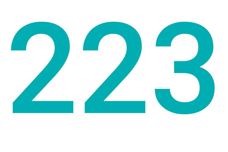 223安装正版截图