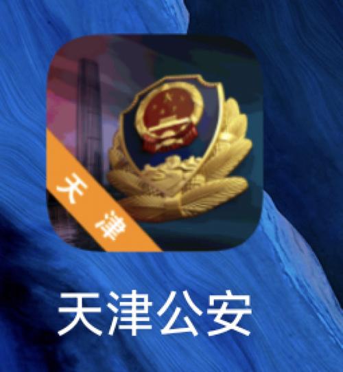 天津公安app的方式截图