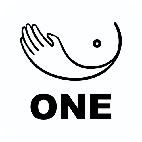 one一个破解版