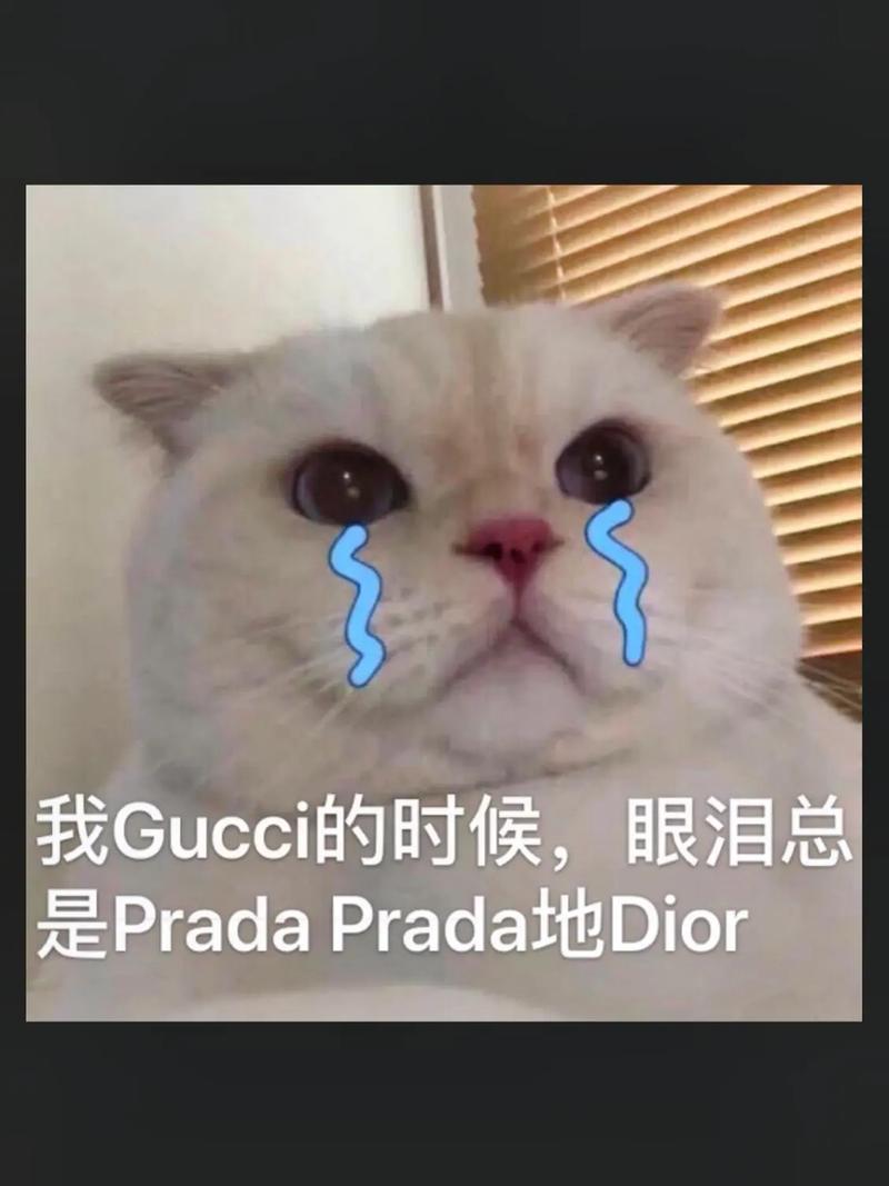 抖音Prada的眼泪PradaPrada地掉表情包