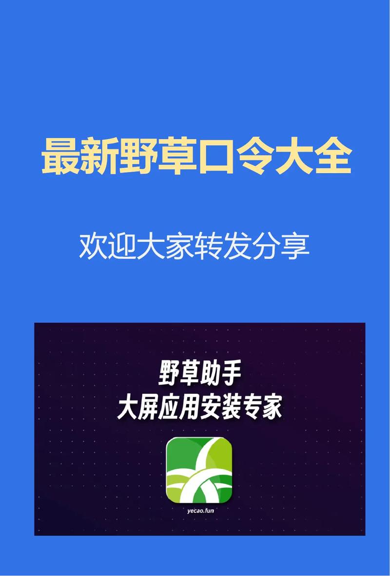 野草助手2024口令永久免费未删减