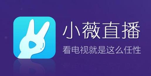 小微tv直播口令