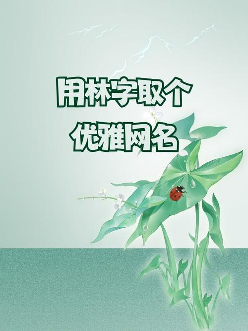 by77718最新网名安装免广告