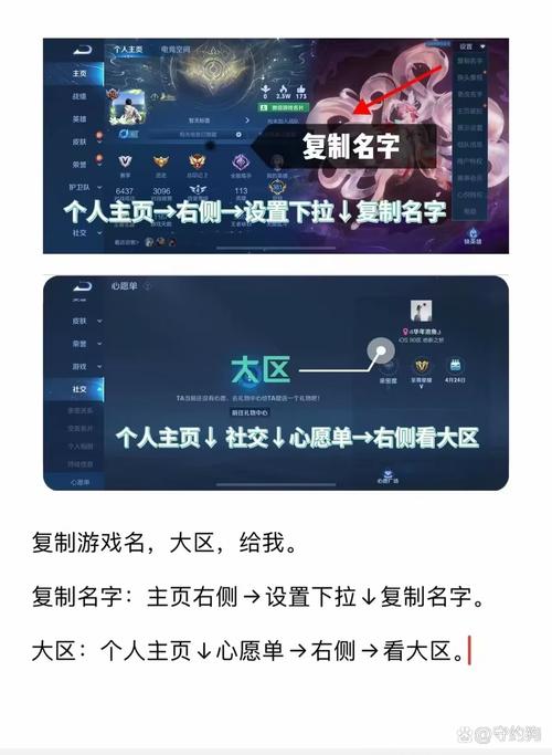 王者隐藏战绩查看器截图