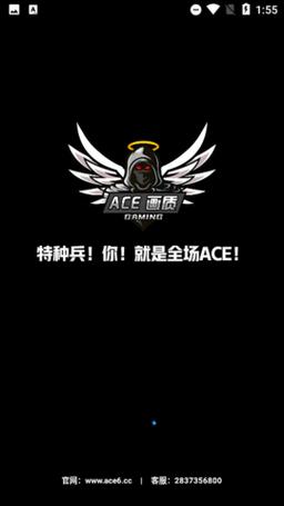 ace画质助手官方游戏截图