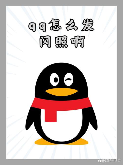 QQ闪照秒存助手2023最新版截图