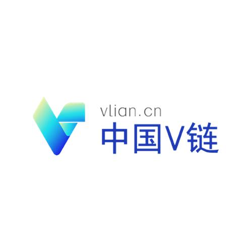 中国VX站中文版