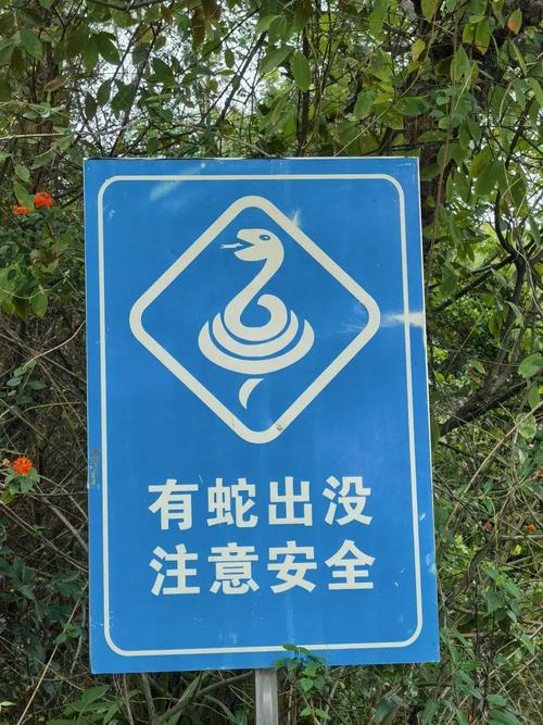 毒蛇直装安卓版缩略图