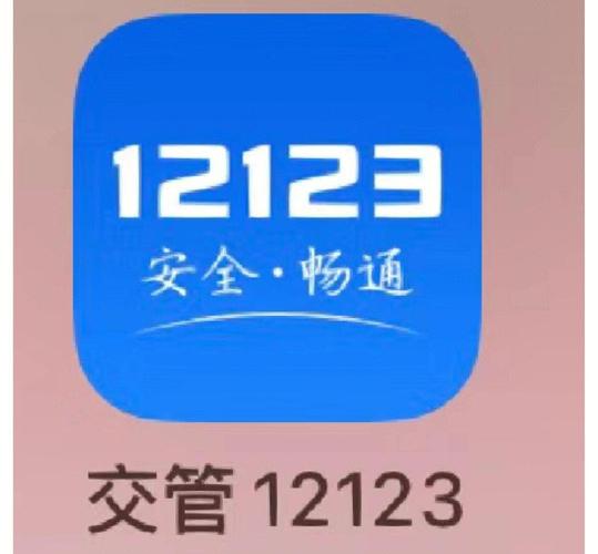 交管12123违章查询官网版最新版缩略图
